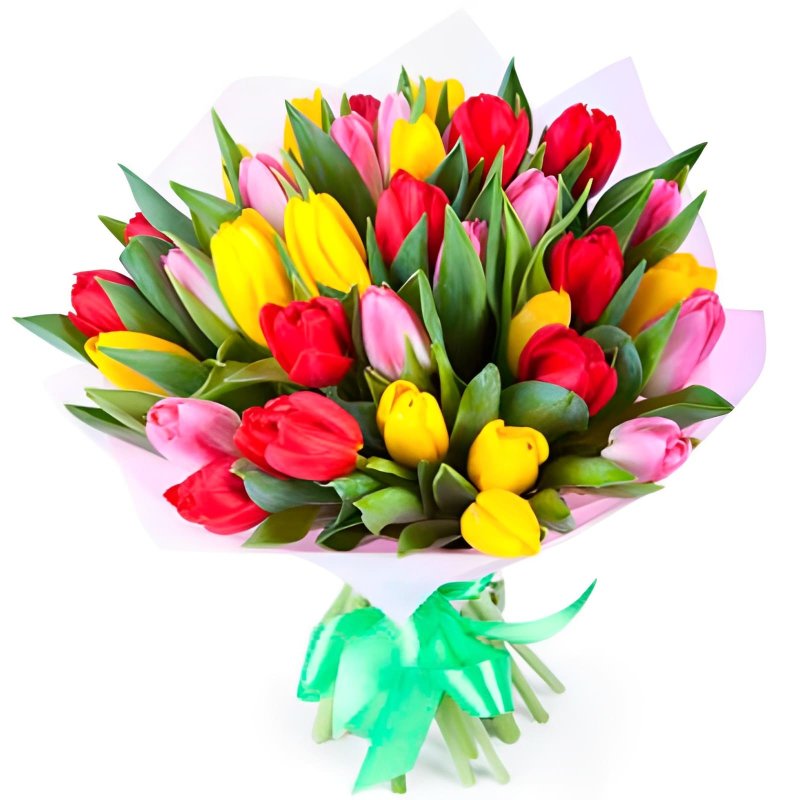 31 Tulips (mix)