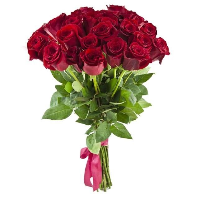 Bouquet of 25 Red Roses