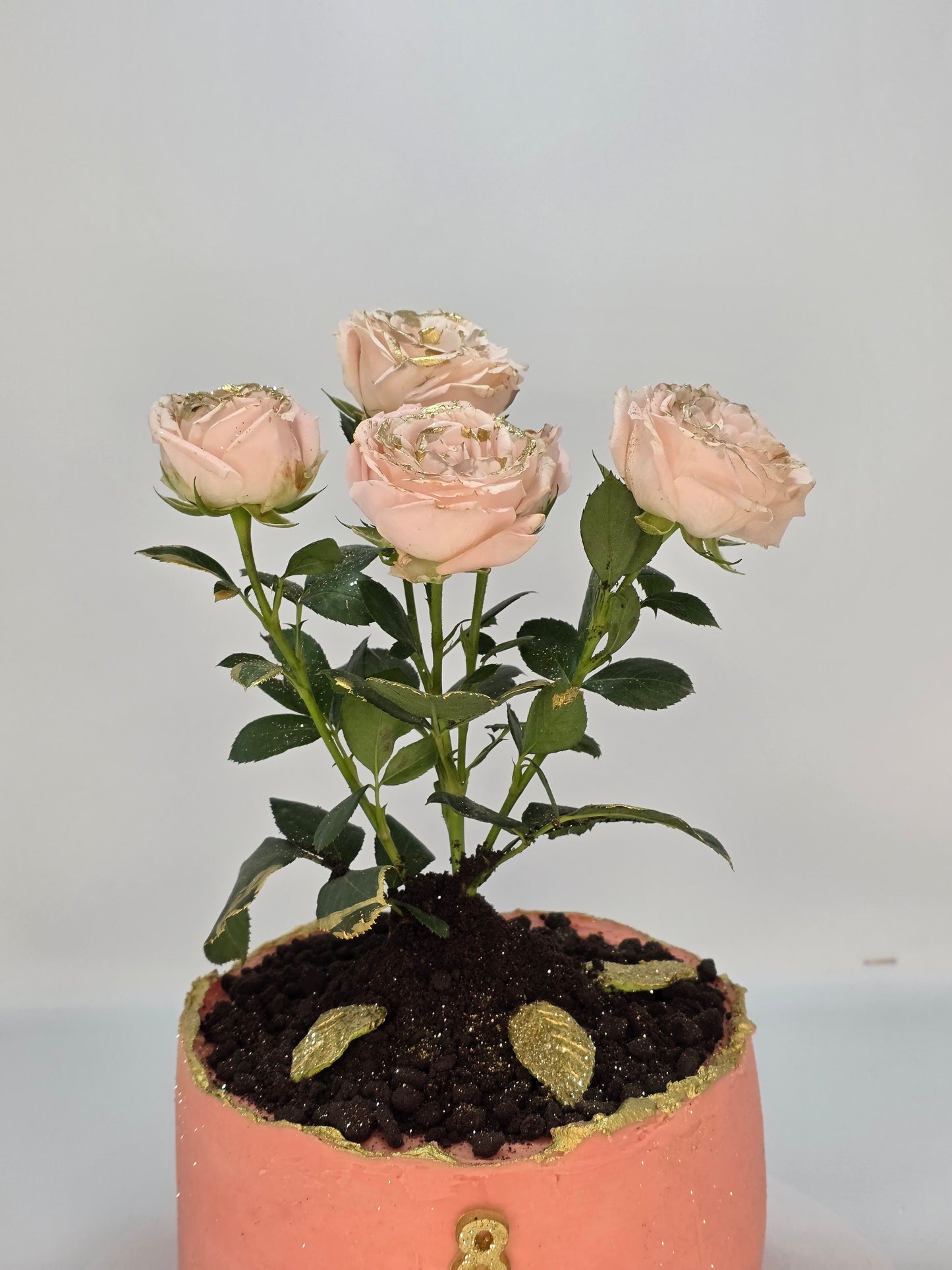 MART 8 CAKE VS FRESH ROSE