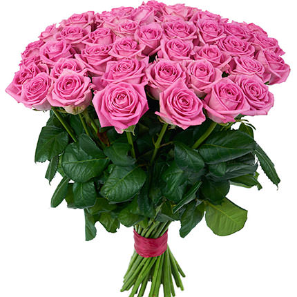 Bouquet of 51 Roses “Pink”