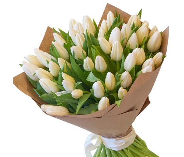 Bouquet of 51 Tulips White