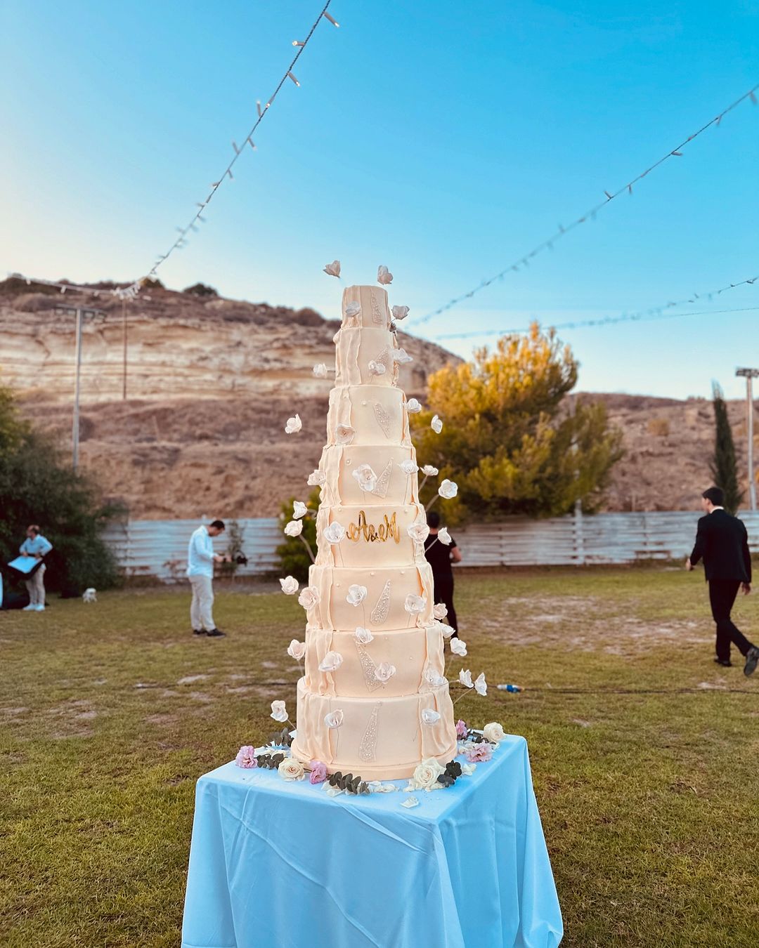 wedding cake 7
