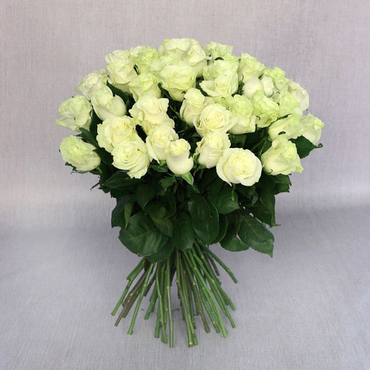 51 White Roses(60cm)