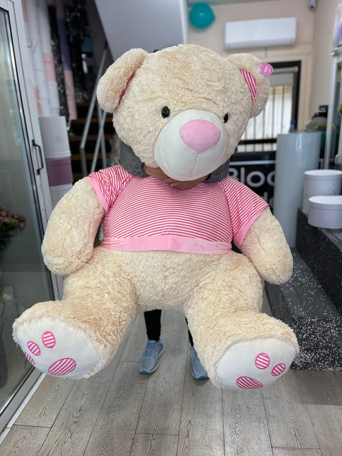 Teddy bear big