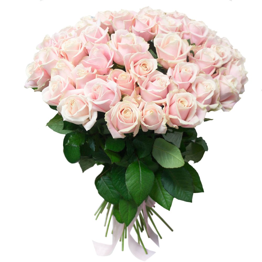 Bouquet of 51 Roses “Pink”
