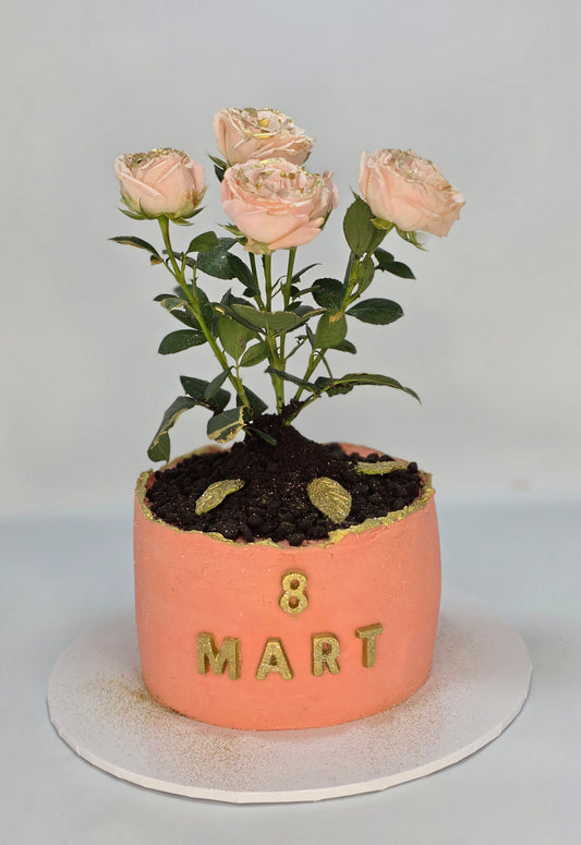 MART 8 CAKE VS FRESH ROSE
