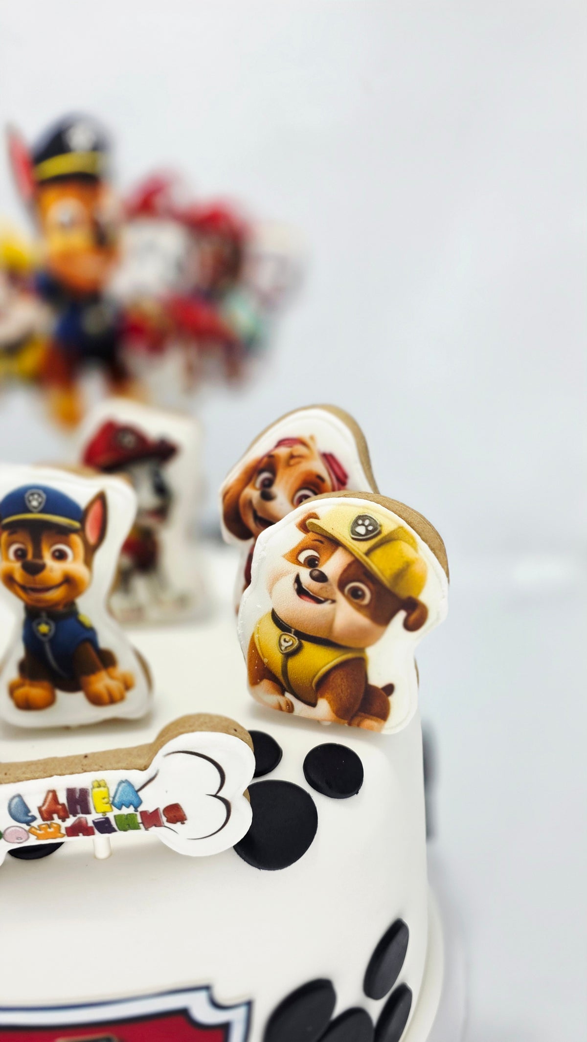 Paw petrol cake
